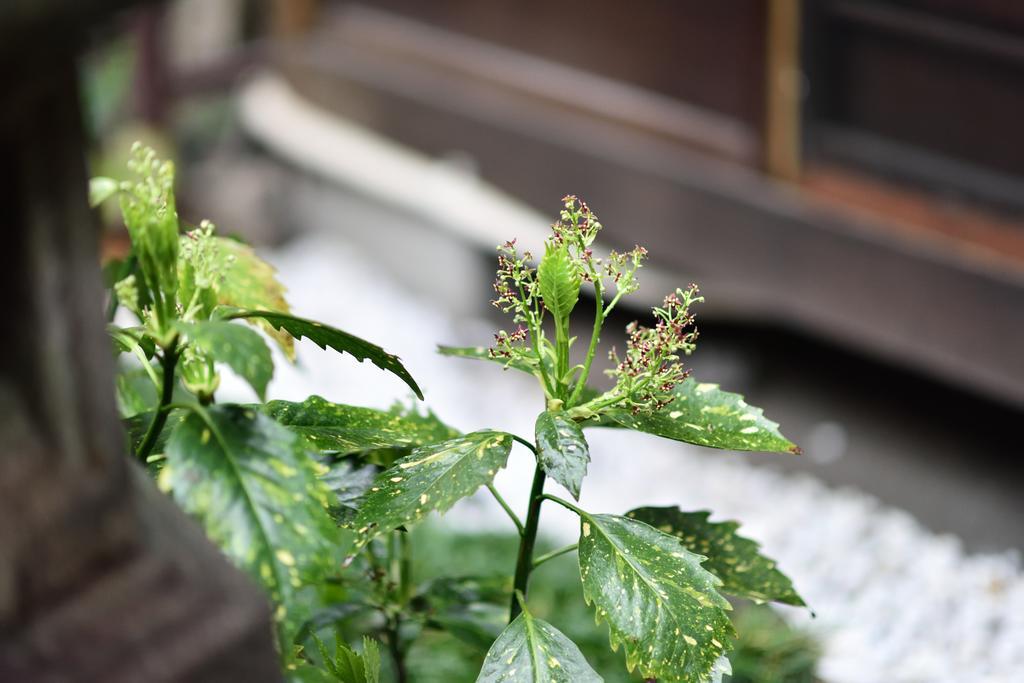 Rakusuian Hotel Kyoto Exterior photo